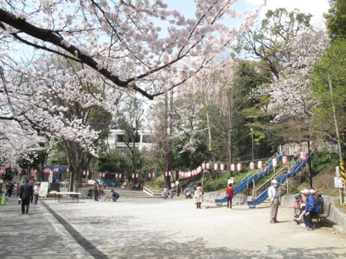 【新宿区早稲田鶴巻町のマンションの公園】