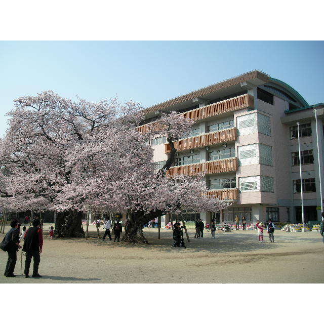 小学校　土浦市立真鍋小学校（小学校）まで1394m