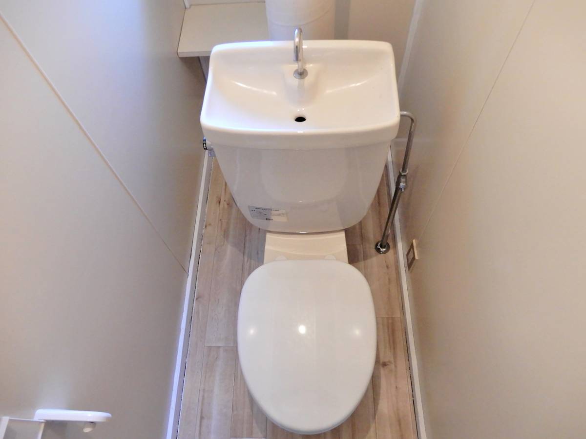 ビレッジハウス南陽2号棟のトイレ写真