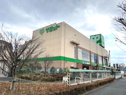 スーパー　サミットストア　環八南田中店（スーパー）まで248m