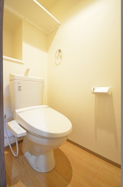 トイレ　同物件、別号室のものです。