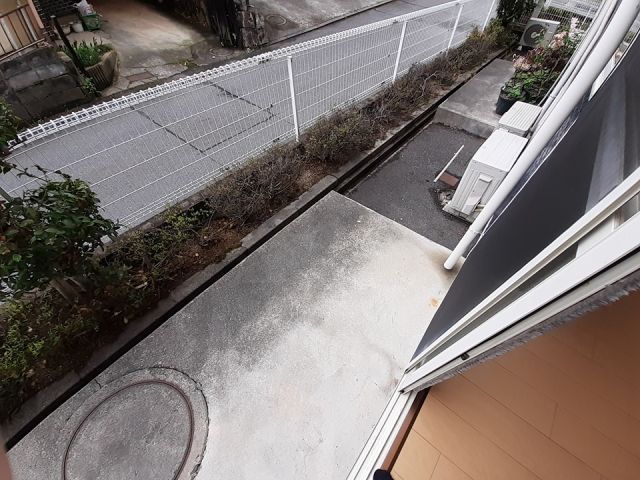 庭