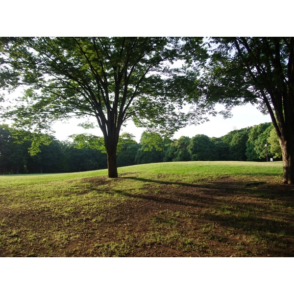 公園　神代植物公園芝生広場（公園）まで1415m