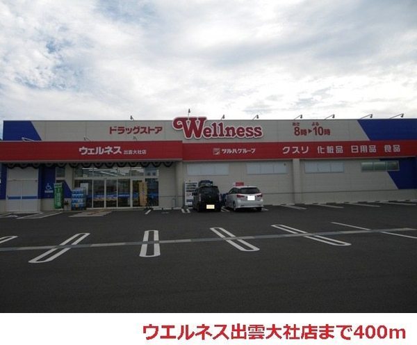 ドラックストア　ドラッグストアウェルネス出雲大社店（ドラッグストア）まで734m