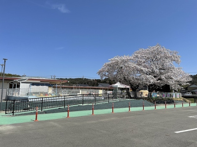 幼稚園・保育園　富岡保育園（幼稚園・保育園）まで313m