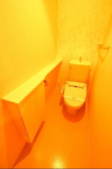 トイレ　トイレも気になるポイント