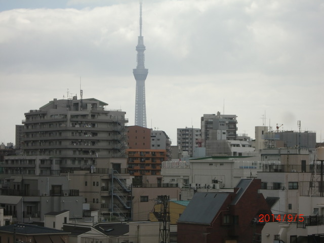 眺望　スカイツリーが見えます