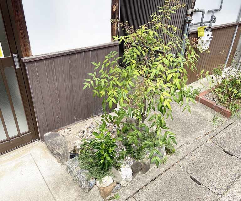庭