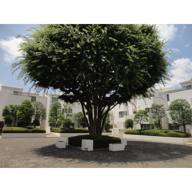 建物外観　パティオ部分(2)