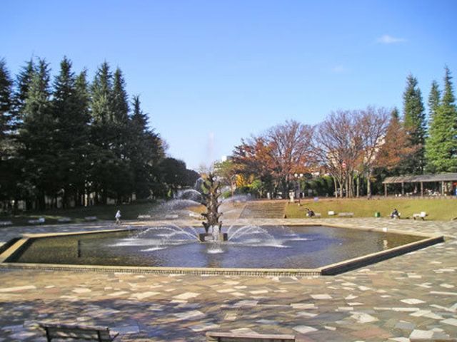 公園　世田谷公園（公園）まで1150m