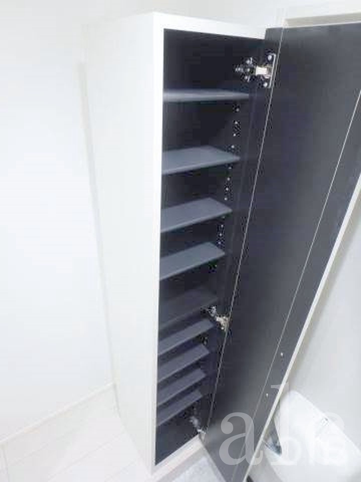 玄関　姿見鏡・シューズボックス