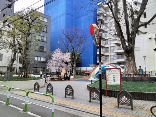 公園　文京区立新花公園（公園）まで193m