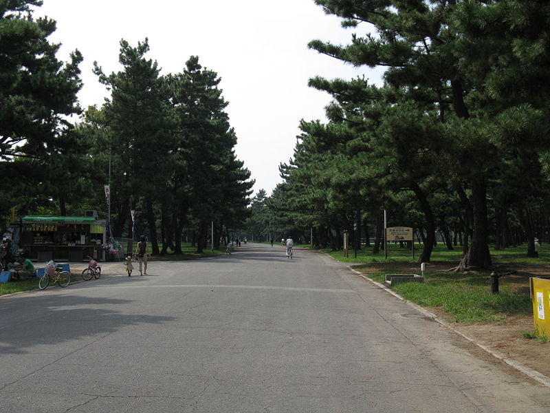 公園　浜寺公園（公園）まで990m