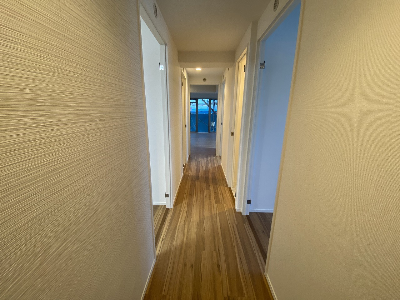 玄関　同じ号室の2F画像