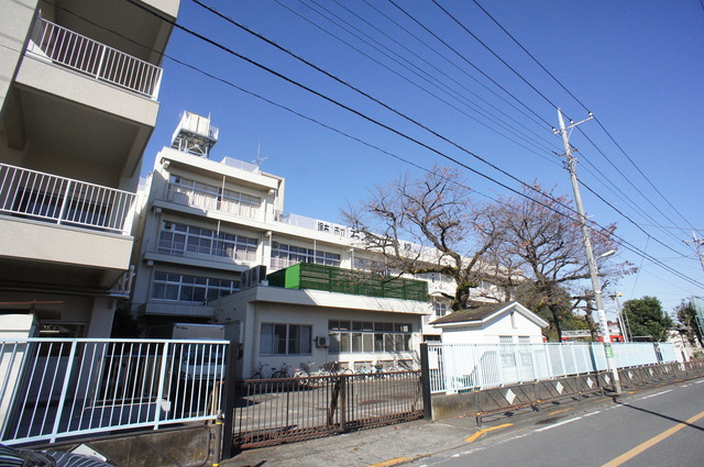 小学校　調布市立石原小学校（小学校）まで539m