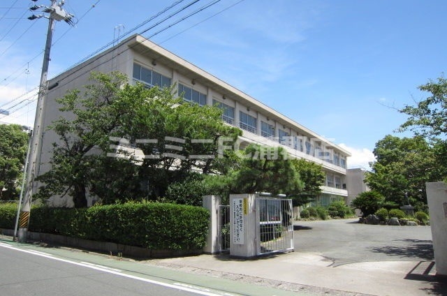 【蒲郡市神明町のマンションの小学校】