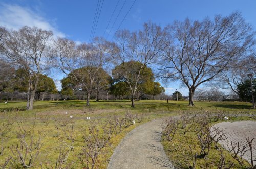 【ラ・フォーレ北園田の公園】