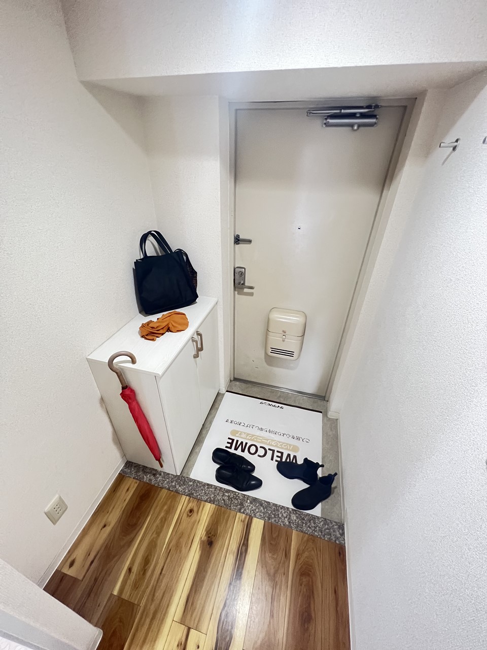 玄関　※同物件、別部屋の写真です