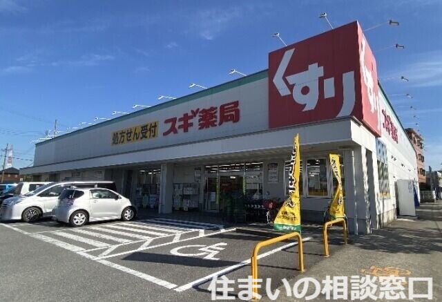 【碧南市岬町のアパートのドラックストア】