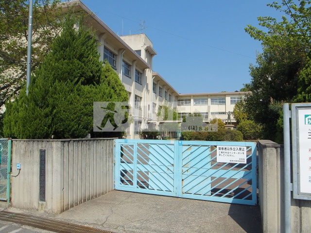 中学校　柏原市立玉手中学校（中学校）まで847m