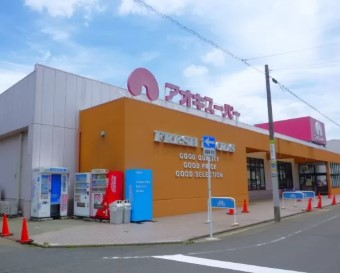 スーパー　アオキスーパー上名古屋店（スーパー）まで543m
