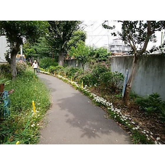 公園　小倉緑道（公園）まで441m