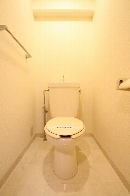 トイレ　同物件、別号室のものです。