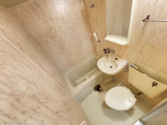 トイレ　※別部屋の写真です