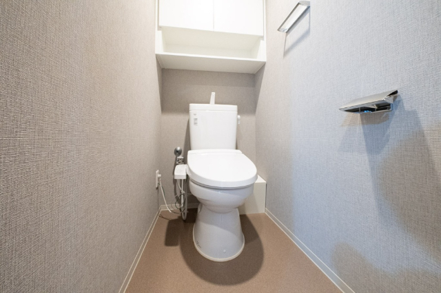リビオシティ川口元郷のトイレ写真