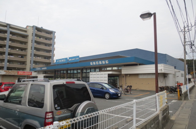 ドラックストア　トライウェル和白店（ドラッグストア）まで696m
