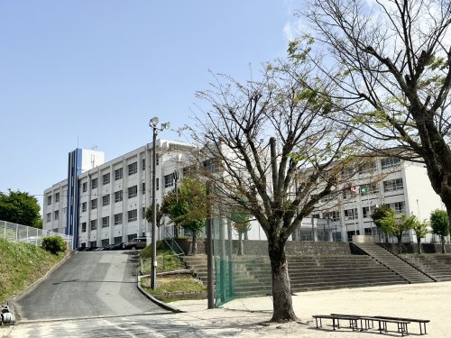 中学校　青陵中学校（中学校）まで917m