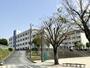 中学校　青陵中学校（中学校）まで917m
