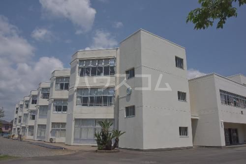 小学校　藤枝市立藤岡小学校（小学校）まで5543m