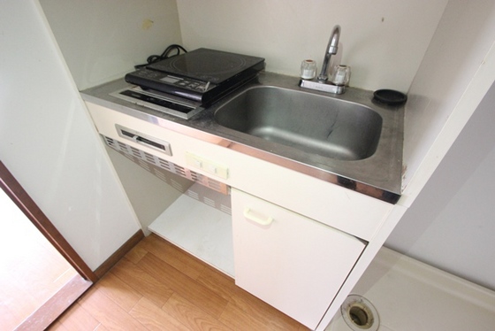 キッチン　※別号室の写真です