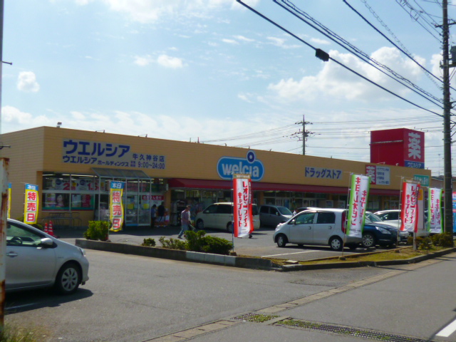 ドラックストア　ウエルシア 牛久神谷店（ドラッグストア）まで331m