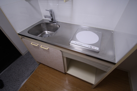 キッチン　※別号室の写真です。