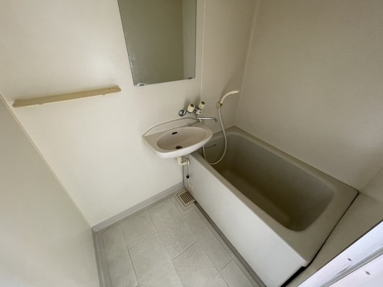 バス・シャワールーム　※別部屋の写真です