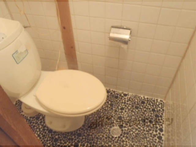 トイレ　トイレはレトロなのが良い