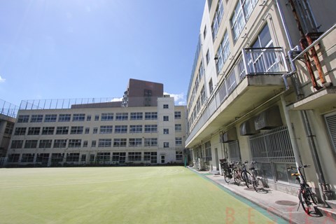 小学校　文京区立関口台町小学校（小学校）まで578m