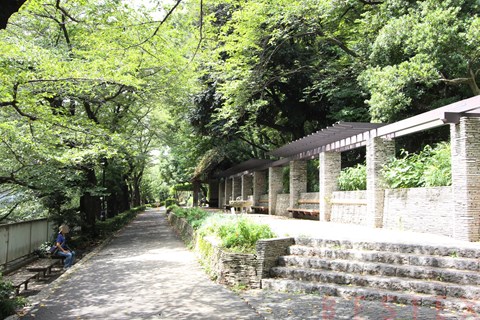 公園　江戸川公園（公園）まで300m