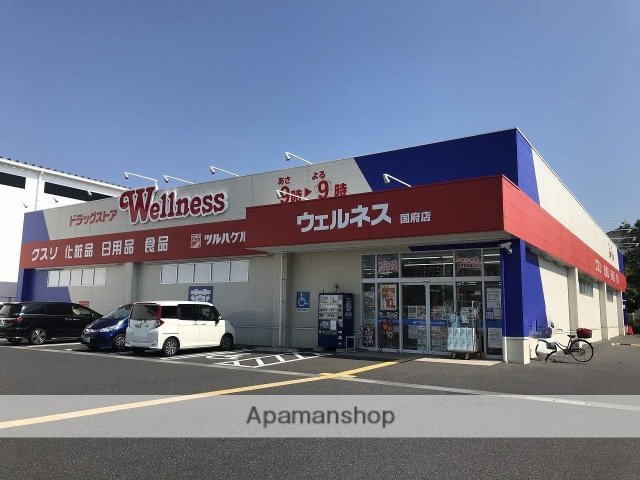 ドラックストア　ウェルネス国府店（ドラッグストア）まで259m