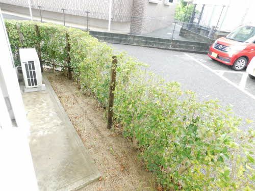 庭
