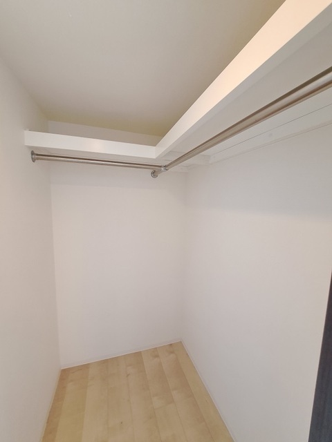 収納　ウォークインクローゼット