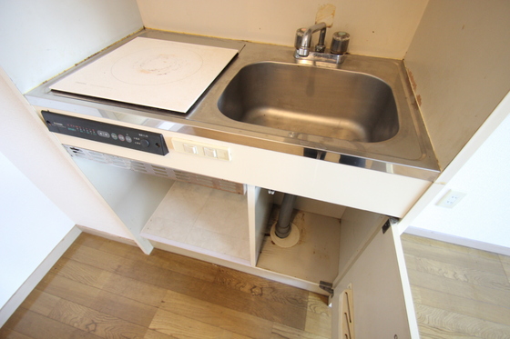 キッチン　※写真は別号室です