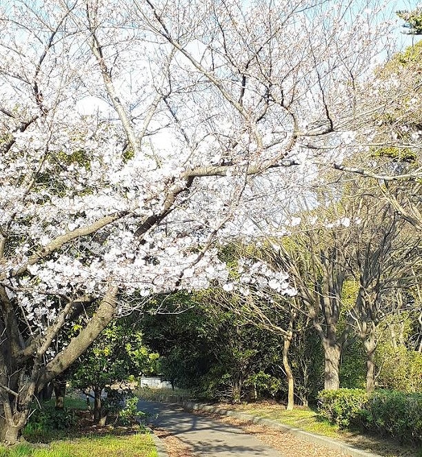 公園　浜手緑地広畑東地区（公園）まで1709m