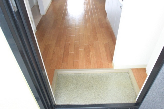 玄関　※別部屋の写真です