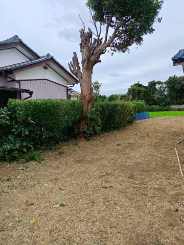 駐車場　車移動が前提の生活にも合わせやすい戸建てです