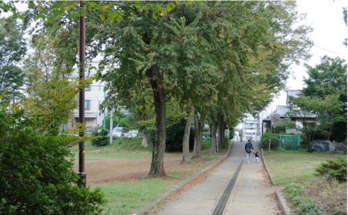 公園　美しの森公園（公園）まで171m