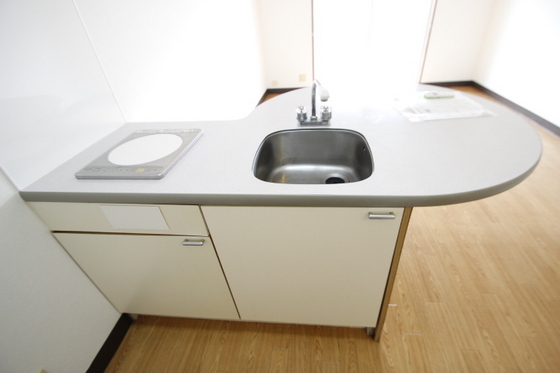 キッチン　※別部屋の写真です