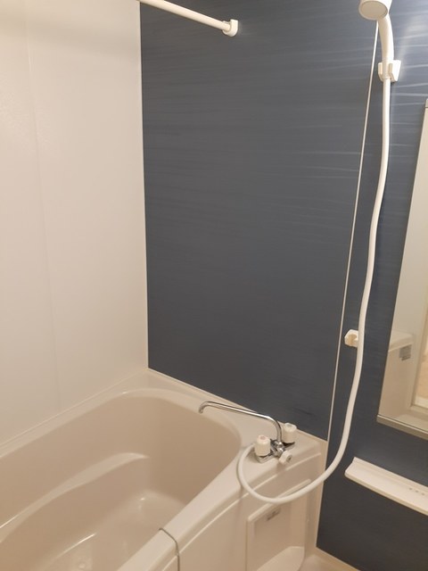 バス・シャワールーム　追加画像2(バス)